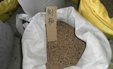 紅油香椿種子 開啟“樹上蔬菜”的種植之旅